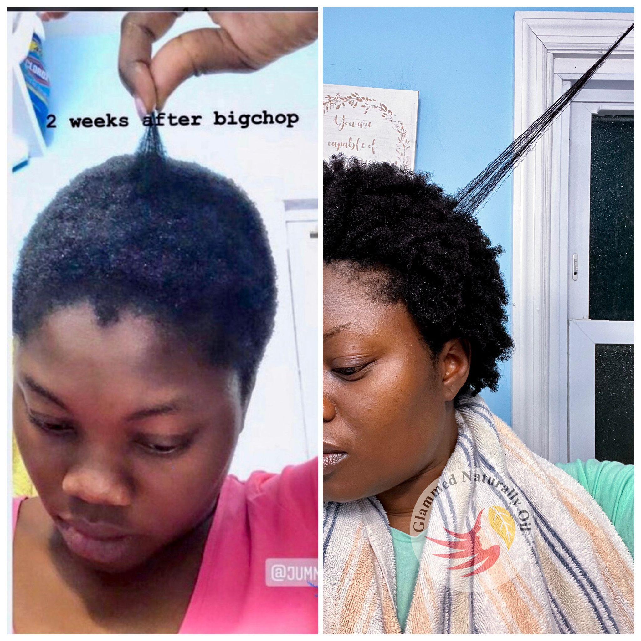 Everlasting Hair Growth & Moisture Bundle - GlammedNaturallyOil